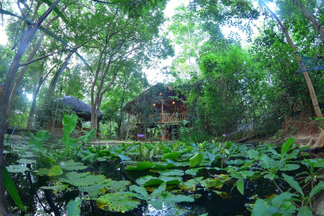 Habarana Tree House Mutu Village Luaran gambar